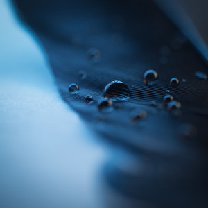 能让人长记性的惩罚
